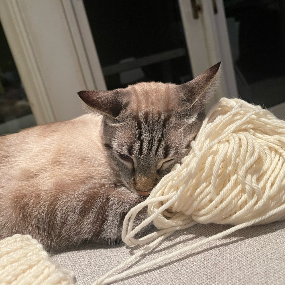 Meet your Posher, Mimi